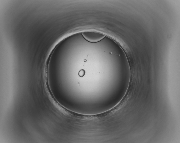 X0000113271526200909101509