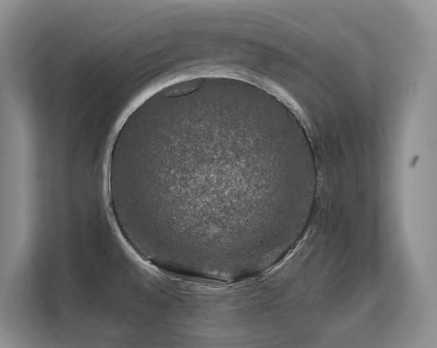 X0000113271528200909101509