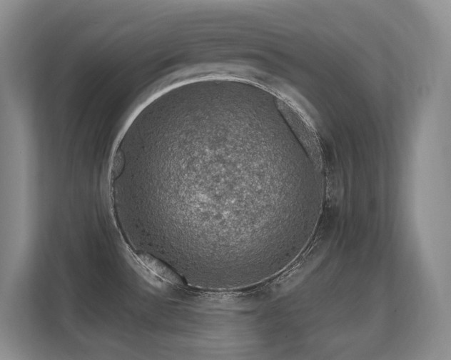 X0000113271532200909101509
