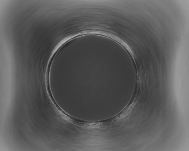 X0000113271533200909101509