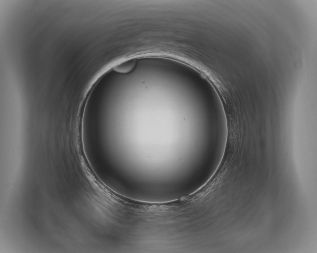 X0000113271534200909101509
