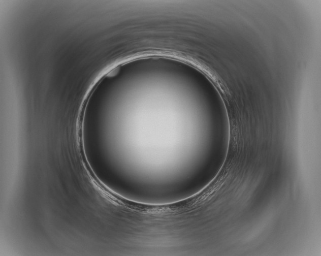 X0000113271535200909101509