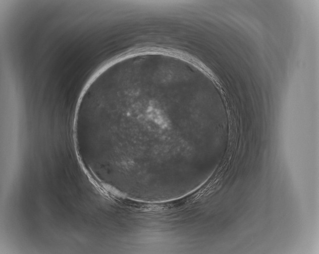 X0000113271536200909101509