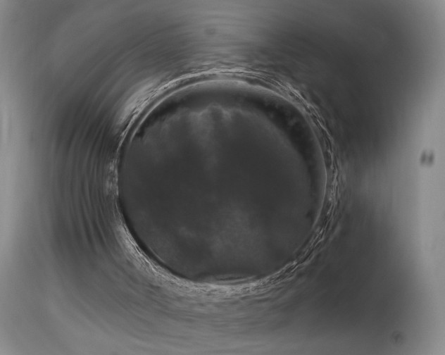 X0000113270002200909171724