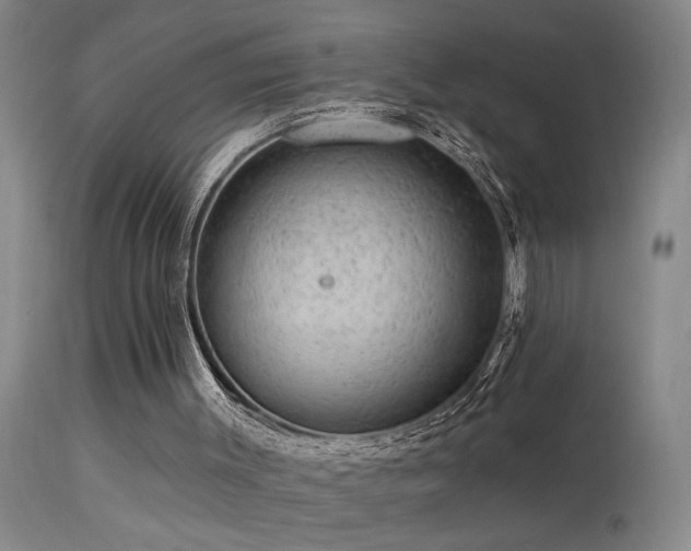 X0000113270003200909171724