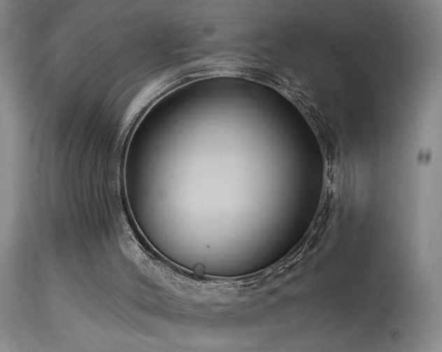 X0000113270004200909171724