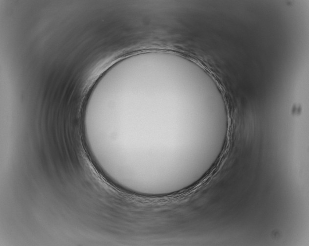 X0000113270005200909171724
