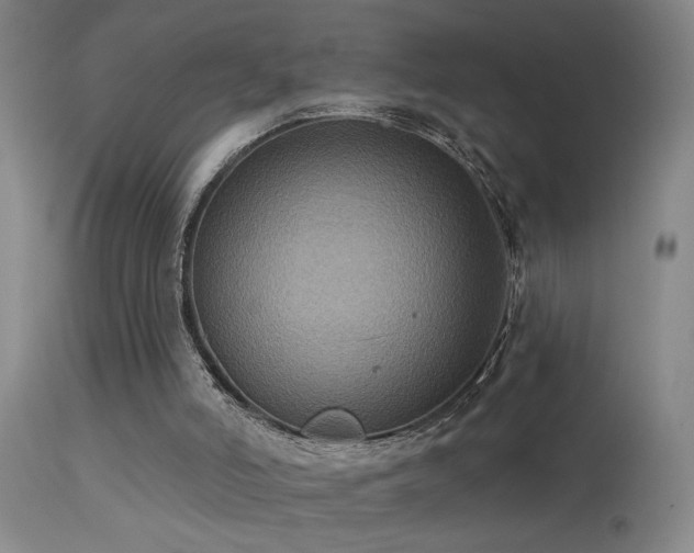 X0000113270006200909171724