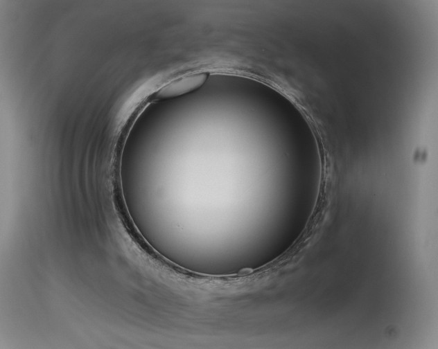 X0000113270007200909171724