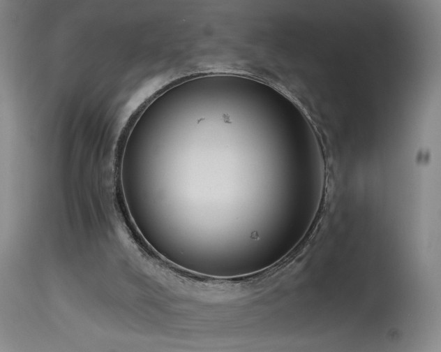 X0000113270008200909171724