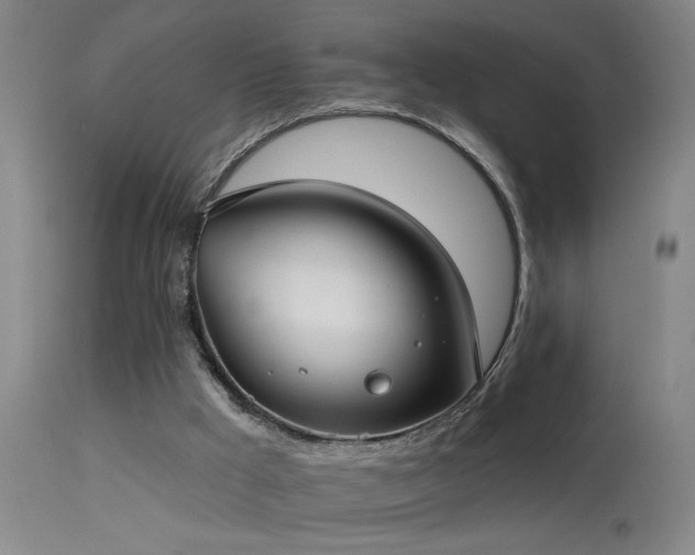 X0000113270009200909171724