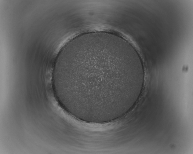 X0000113270010200909171724