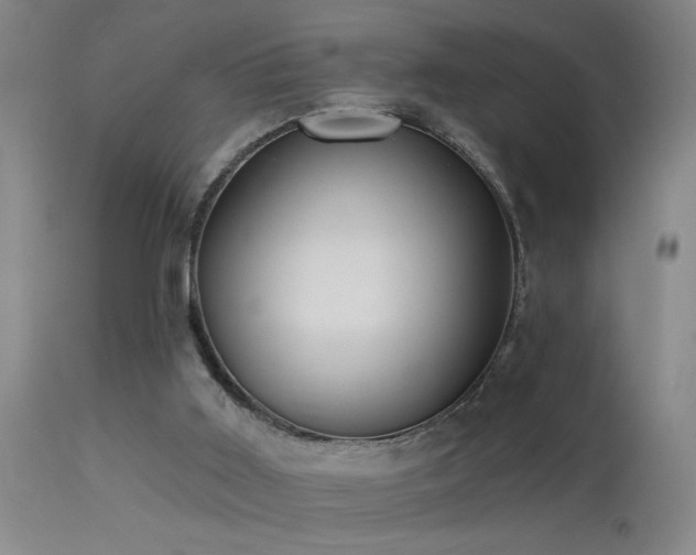 X0000113270011200909171724