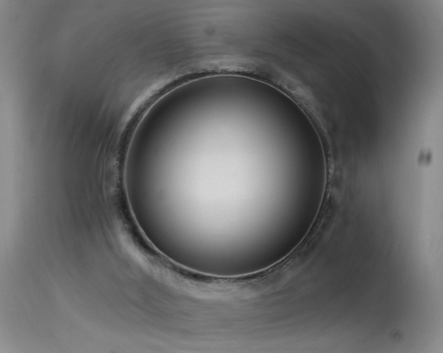 X0000113270012200909171724