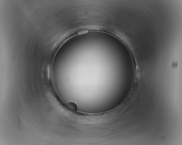 X0000113270013200909171724