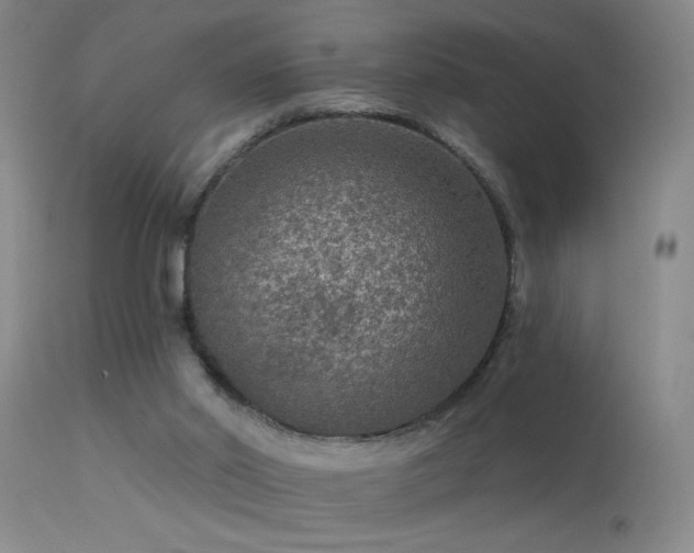 X0000113270014200909171724