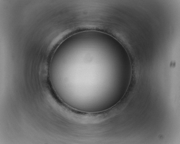 X0000113270016200909171724