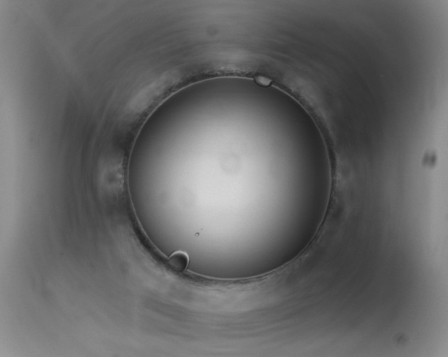 X0000113270017200909171724