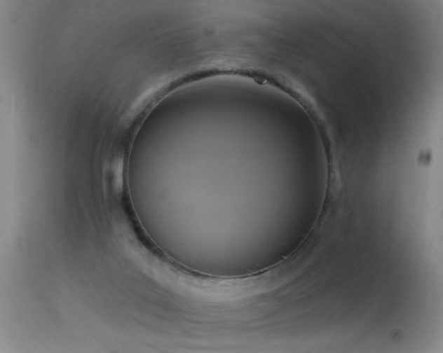 X0000113270019200909171724