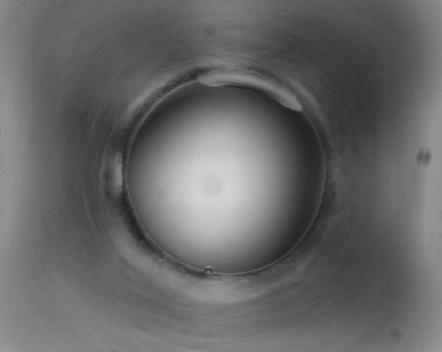 X0000113270020200909171724
