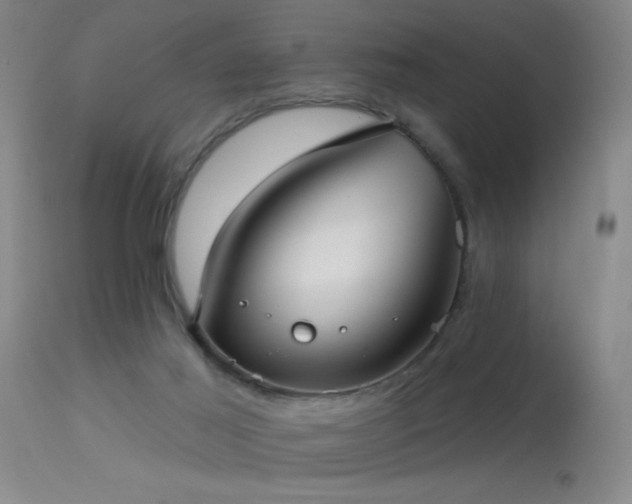 X0000113270021200909171724