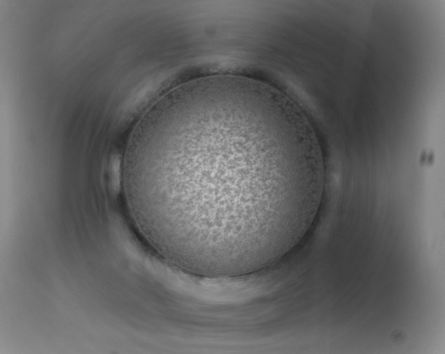 X0000113270022200909171724
