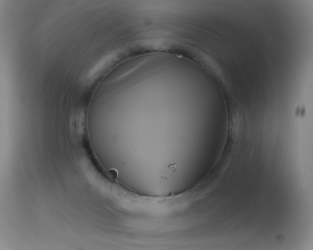 X0000113270023200909171724