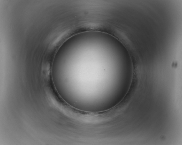 X0000113270024200909171724