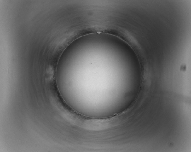 X0000113270025200909171724