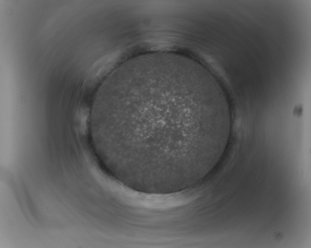 X0000113270026200909171724