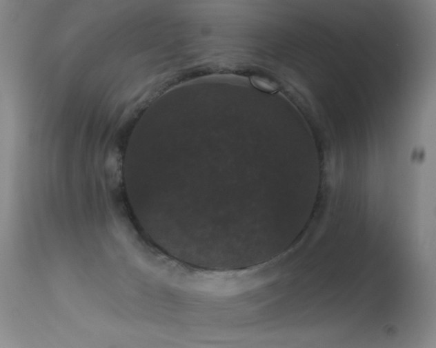X0000113270029200909171724