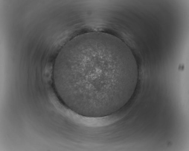 X0000113270030200909171724