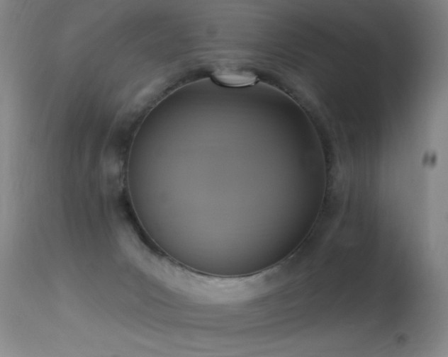 X0000113270031200909171724