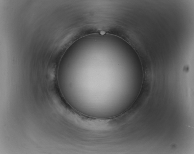 X0000113270032200909171724