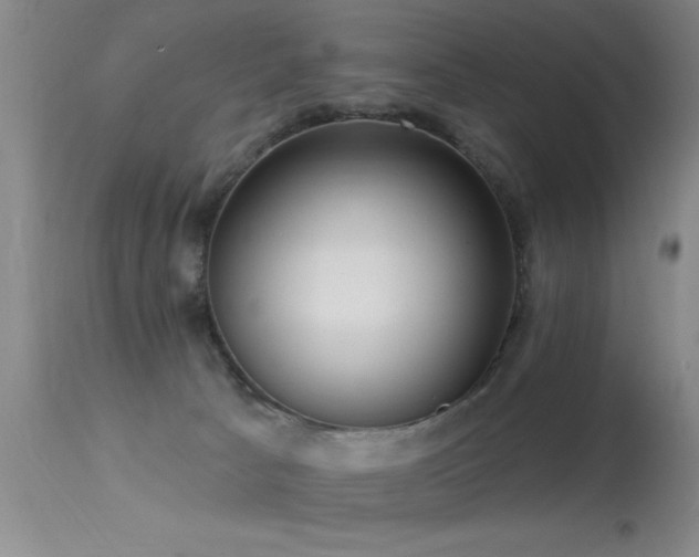 X0000113270033200909171724
