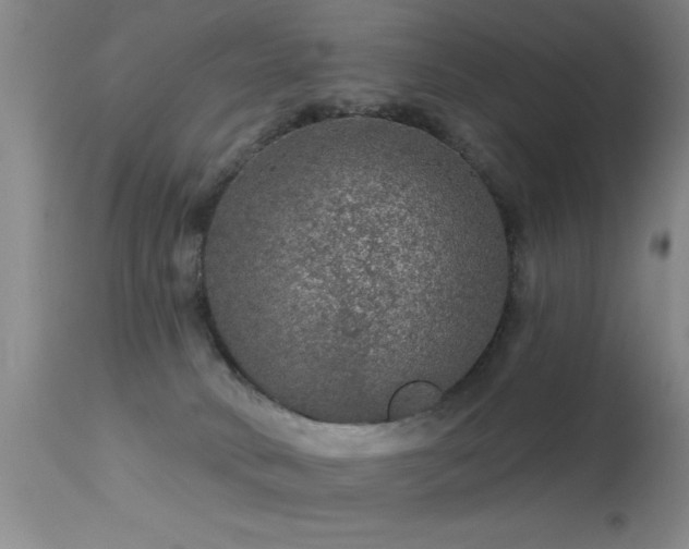 X0000113270034200909171724