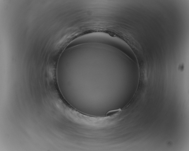 X0000113270035200909171724