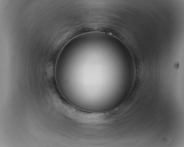 X0000113270036200909171724