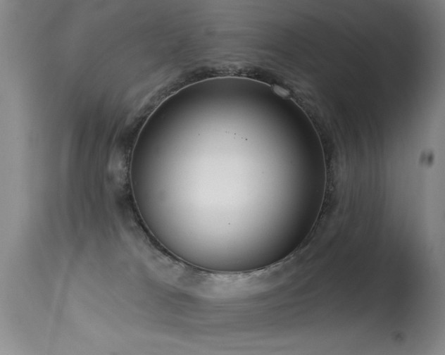 X0000113270037200909171724