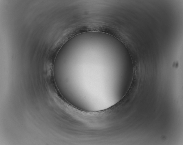 X0000113270038200909171724