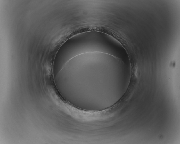 X0000113270039200909171724