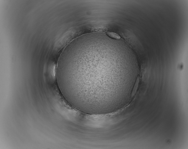 X0000113270041200909171724