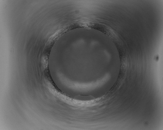 X0000113270043200909171724