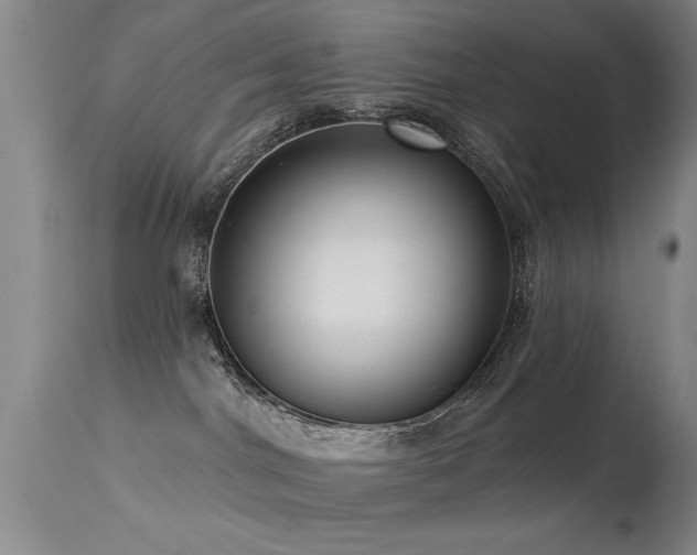 X0000113270044200909171724