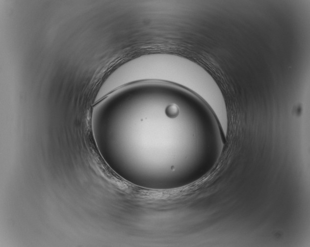 X0000113270045200909171724
