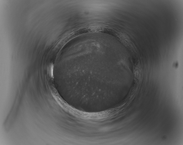 X0000113270046200909171724