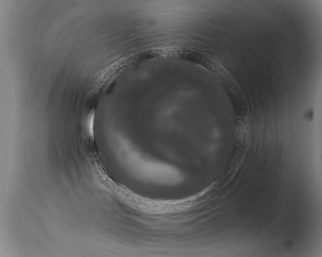 X0000113270047200909171724