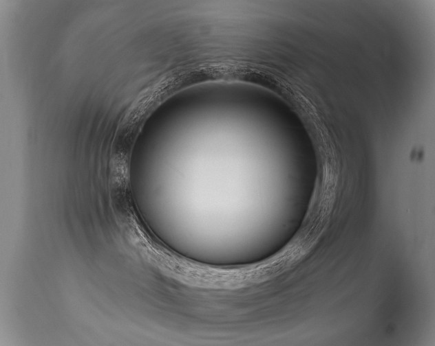 X0000113270048200909171724