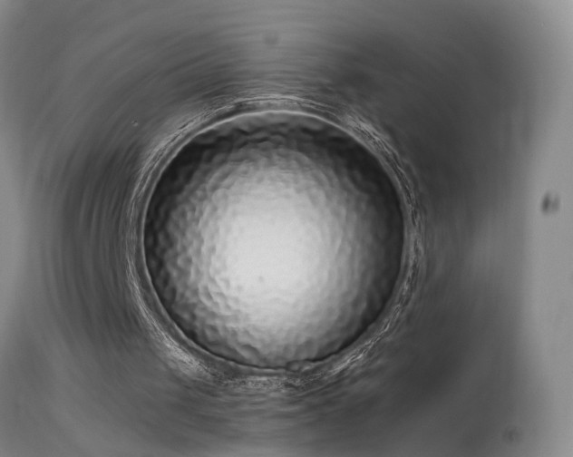 X0000113270049200909171723
