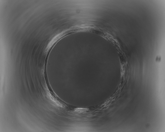 X0000113270051200909171723